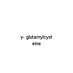 γ- glutamylcysteine